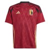 Maillot de Supporter Belgique Domicile Euro 2024 Pour Enfant